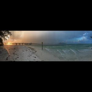 Meet your Posher, Patty